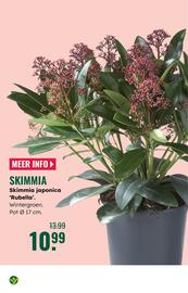 GroenRijk folder week 45 Pagina 5