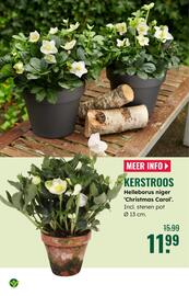 GroenRijk folder week 45 Pagina 6