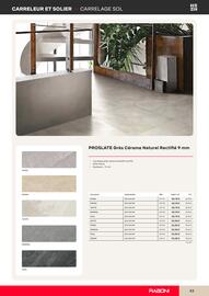 Catalogue Raboni page 43