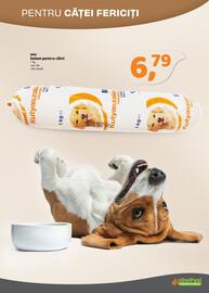 Catalog La Doi Pasi Pagină 19