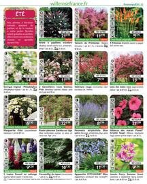 Catalogue Willemse France page 11