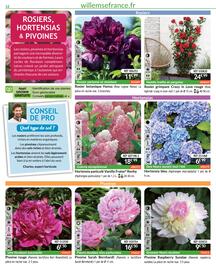 Catalogue Willemse France page 12