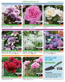 Catalogue Willemse France page 13
