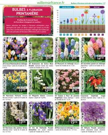 Catalogue Willemse France page 17