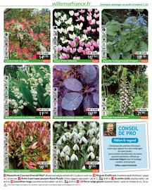 Catalogue Willemse France page 21