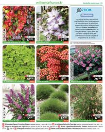 Catalogue Willemse France page 23