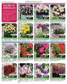 Catalogue Willemse France page 26