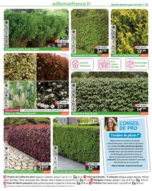 Catalogue Willemse France page 35