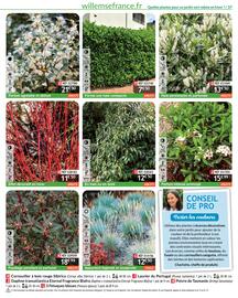 Catalogue Willemse France page 37