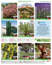 Catalogue Willemse France page 39