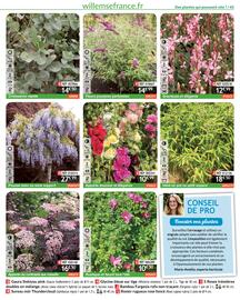 Catalogue Willemse France page 45