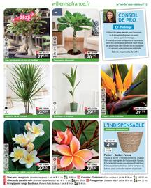 Catalogue Willemse France page 51
