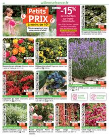 Catalogue Willemse France page 60