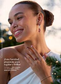 Catálogo Yanbal Página 42