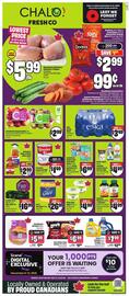 Chalo FreshCo flyer week 45 Page 1