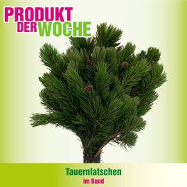 Blumen B&B Flugblatt woche 45 Seite 2