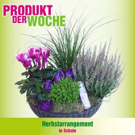 Blumen B&B Flugblatt woche 45 Seite 4