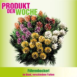 Blumen B&B Flugblatt woche 45 Seite 5