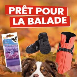 Catalogue Animalis page 2