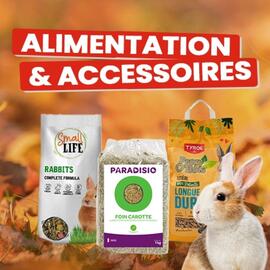 Catalogue Animalis page 4