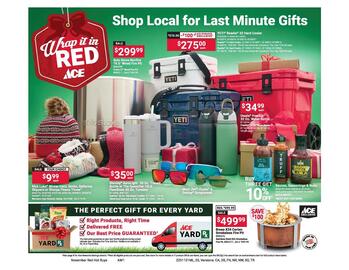 Ace Hardware flyer Page 3