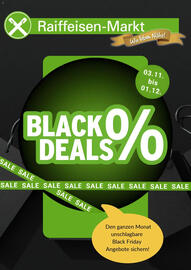 Raiffeisen Markt Prospekt Seite 1