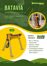 Raiffeisen Markt Prospekt Seite 6