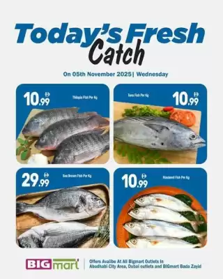 Bigmart leaflet (valid until 5-11)