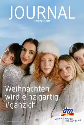 Dm Flugblatt (gültig bis 6-12)