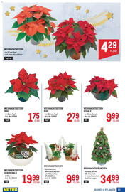 Metro Flugblatt Seite 63