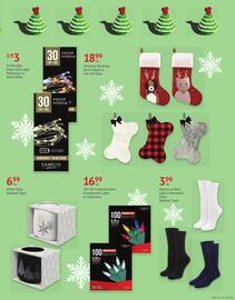 IDA Pharmacy flyer Page 5