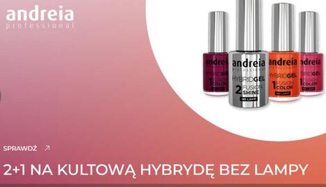 Fale Loki Koki gazetka tydzień 45 Strona 4