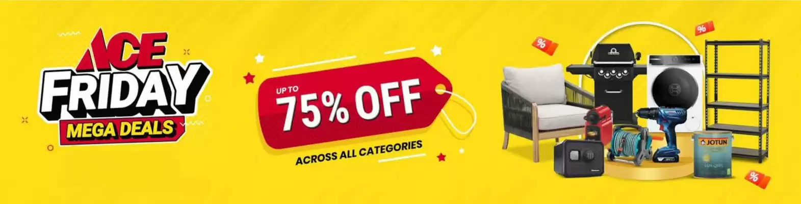 Ace catalogue (valid until 12-11)