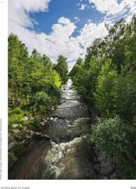 Dm Flugblatt Seite 101