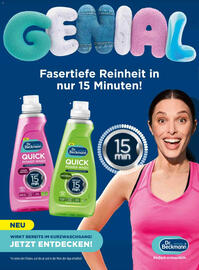 Dm Flugblatt Seite 106