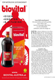 Dm Flugblatt Seite 66