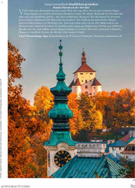 Dm Flugblatt Seite 85