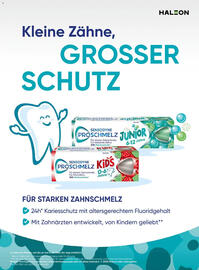 Dm Flugblatt Seite 93