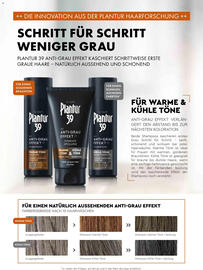 Dm Flugblatt Seite 97