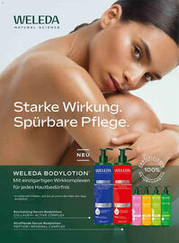 Dm Flugblatt Seite 98