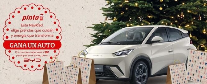 Catálogo Pinto Página 1