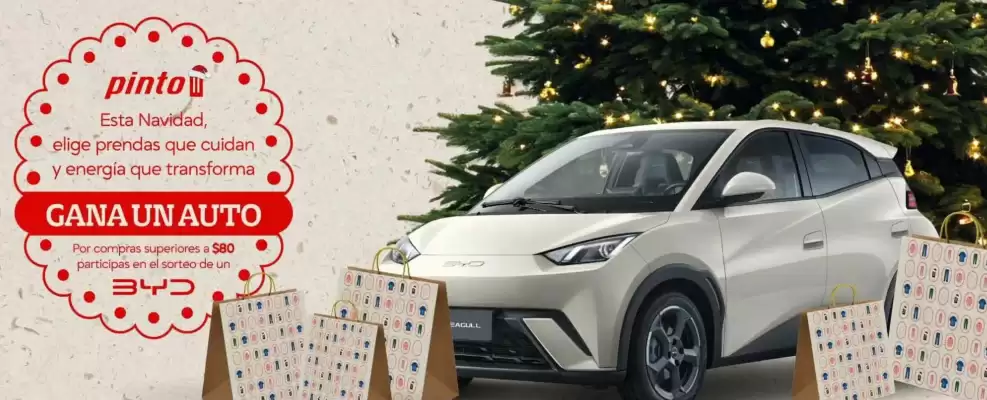 Catálogo Pinto (válido hasta 31-12)