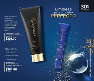 Catálogo Terramar Brands Página 31