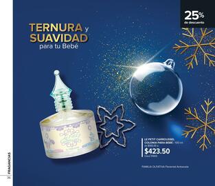 Catálogo Terramar Brands Página 36