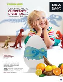 Catálogo Terramar Brands Página 13