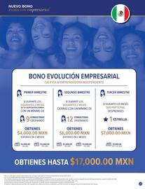 Catálogo Terramar Brands Página 25