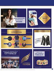 Catálogo Terramar Brands Página 33