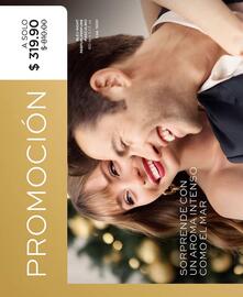 Catálogo L'Bel Página 100