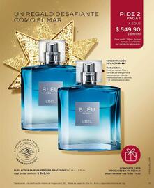 Catálogo L'Bel Página 13