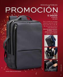 Catálogo L'Bel Página 17